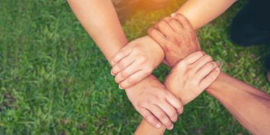 Hands of diverse people joined in unity on grass.