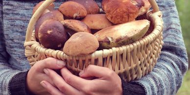 Person holding a basket full of mushrooms.