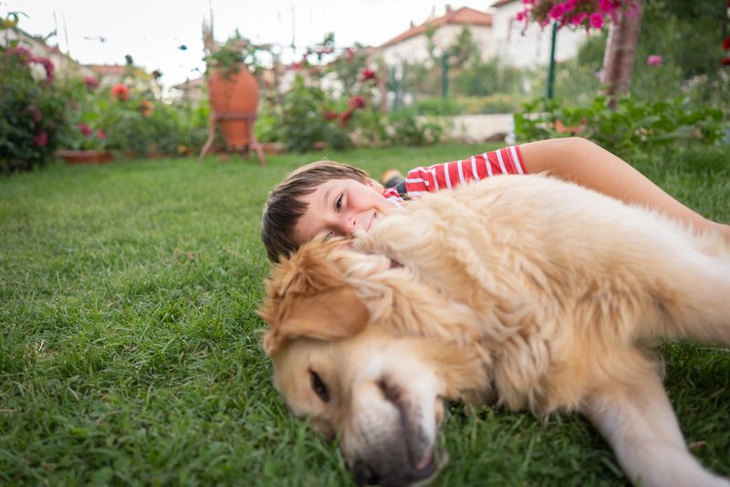 Best friends enjoying a summer afternoon at back yard