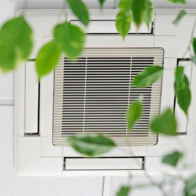 Ceiling air conditioning vent with green plant leaves in foreground.
