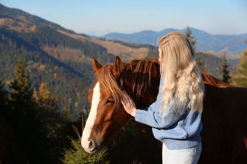 Young woman petting beautiful horse in mountains on sunny day