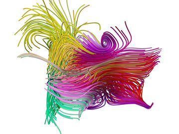 Colorful, flowing abstract lines forming a dynamic 3D shape.