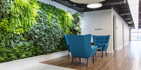 Modern seating area with a vertical garden wall.
