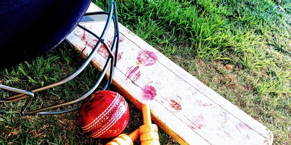Cricket gear including a bat, ball, helmet, and wooden stumps on grass.