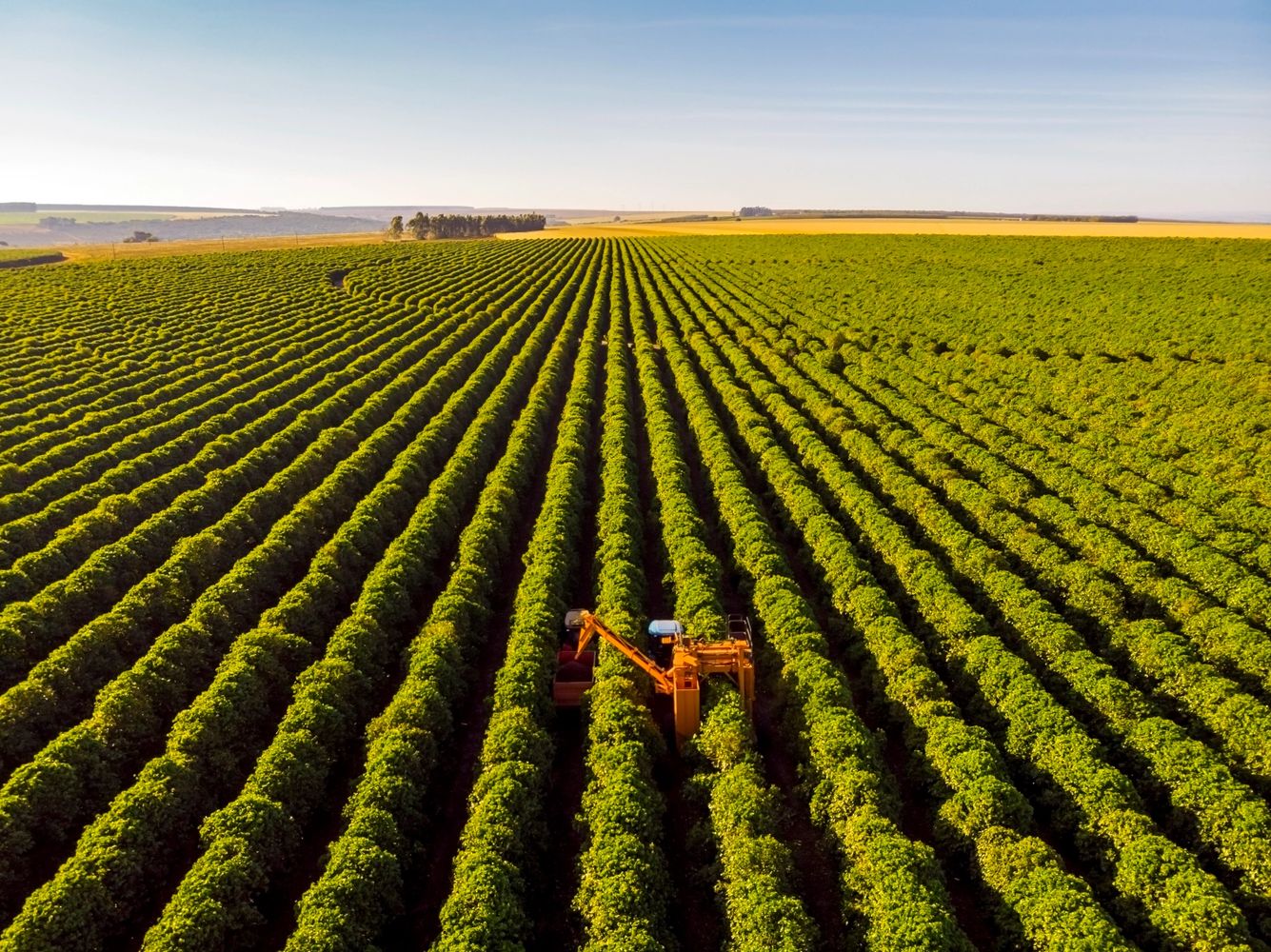 Aerial view of a machine harvesting crops in a green field.