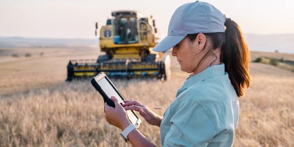 Mulher usando tablet em campo de trigo com colheitadeira.