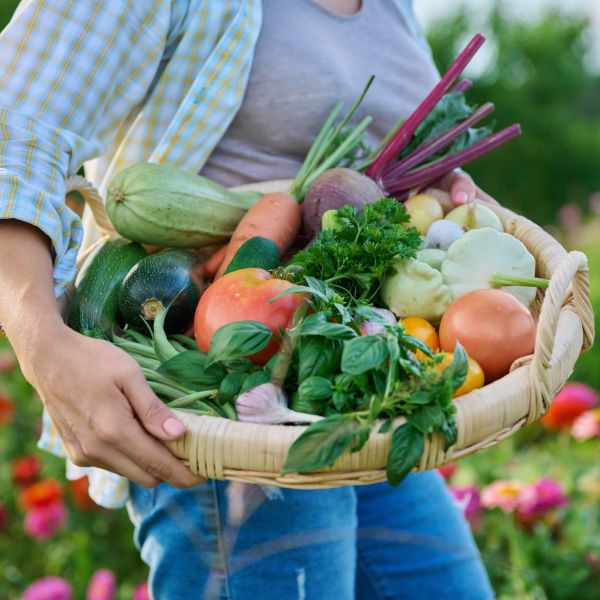Person holding a basket full of fresh vegetables and herbs outdoors.