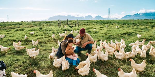 Family with child feeding chickens on a green farm.