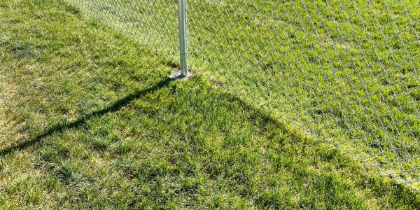 Shadow of a chain-link fence on green grass.
