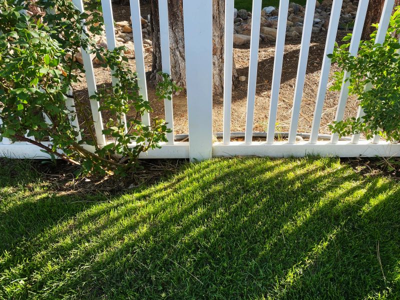 a garden wooden white wood picket fence grass yard sunlight shadow backyard