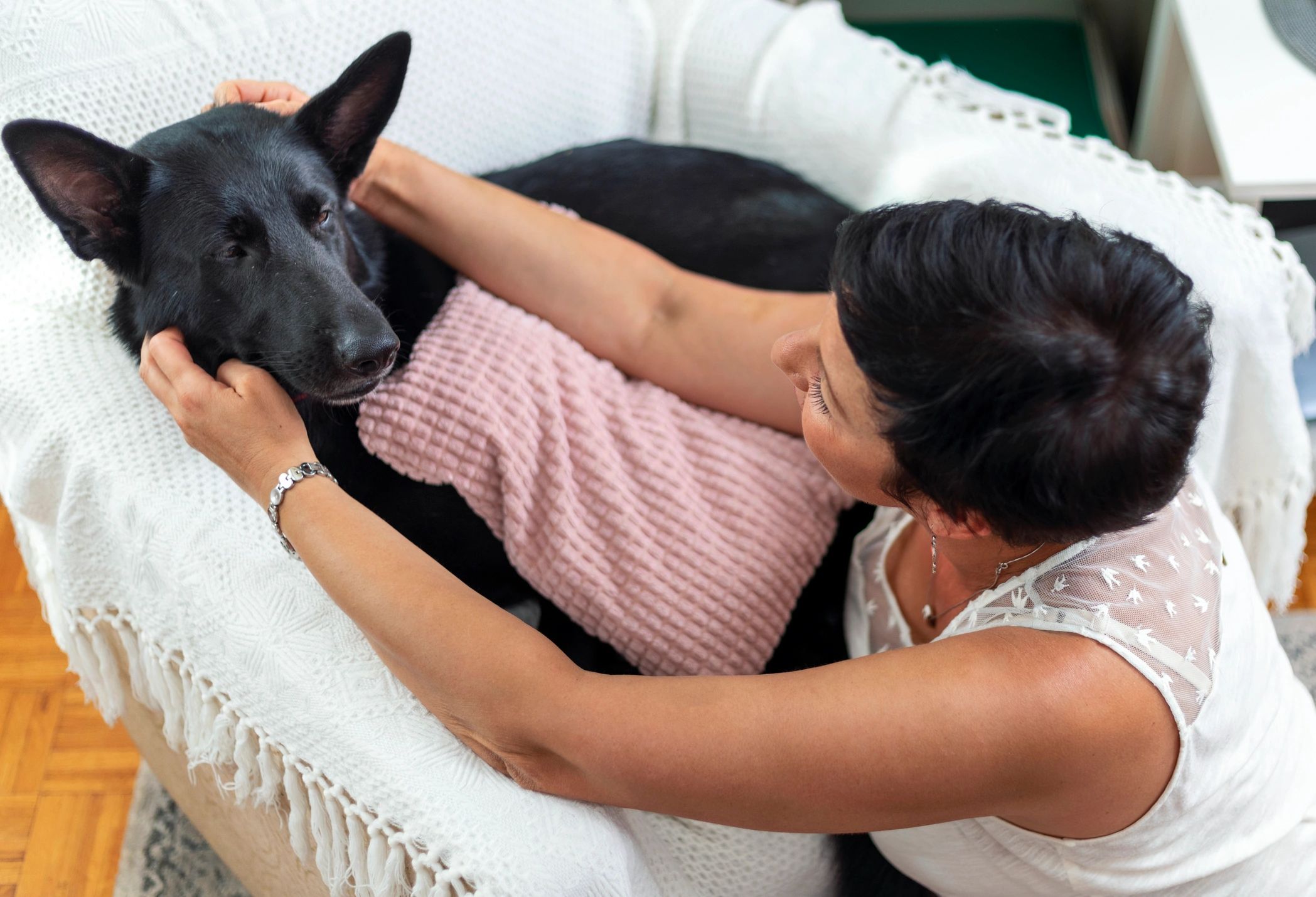 Restful Pets cover