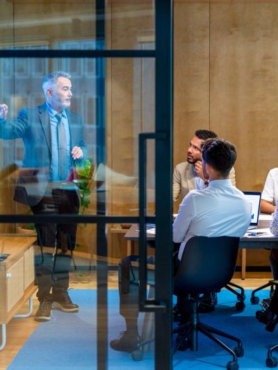 Business meeting with a presenter and attentive audience.