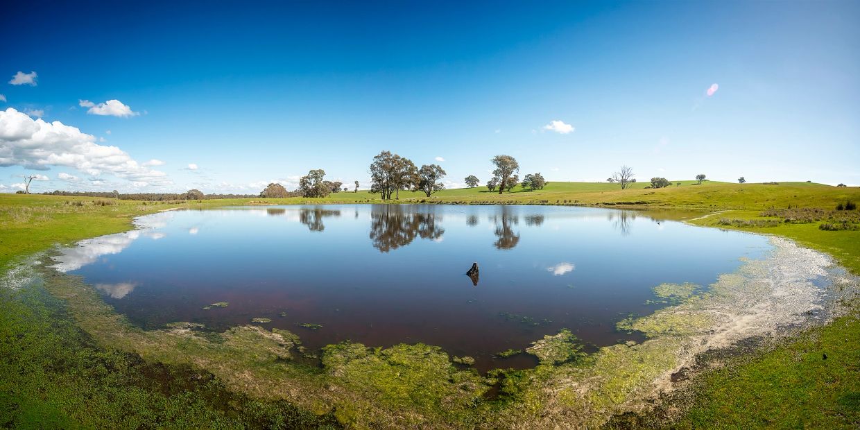 A serene pond surrounded by green fields and trees under a blue sky.