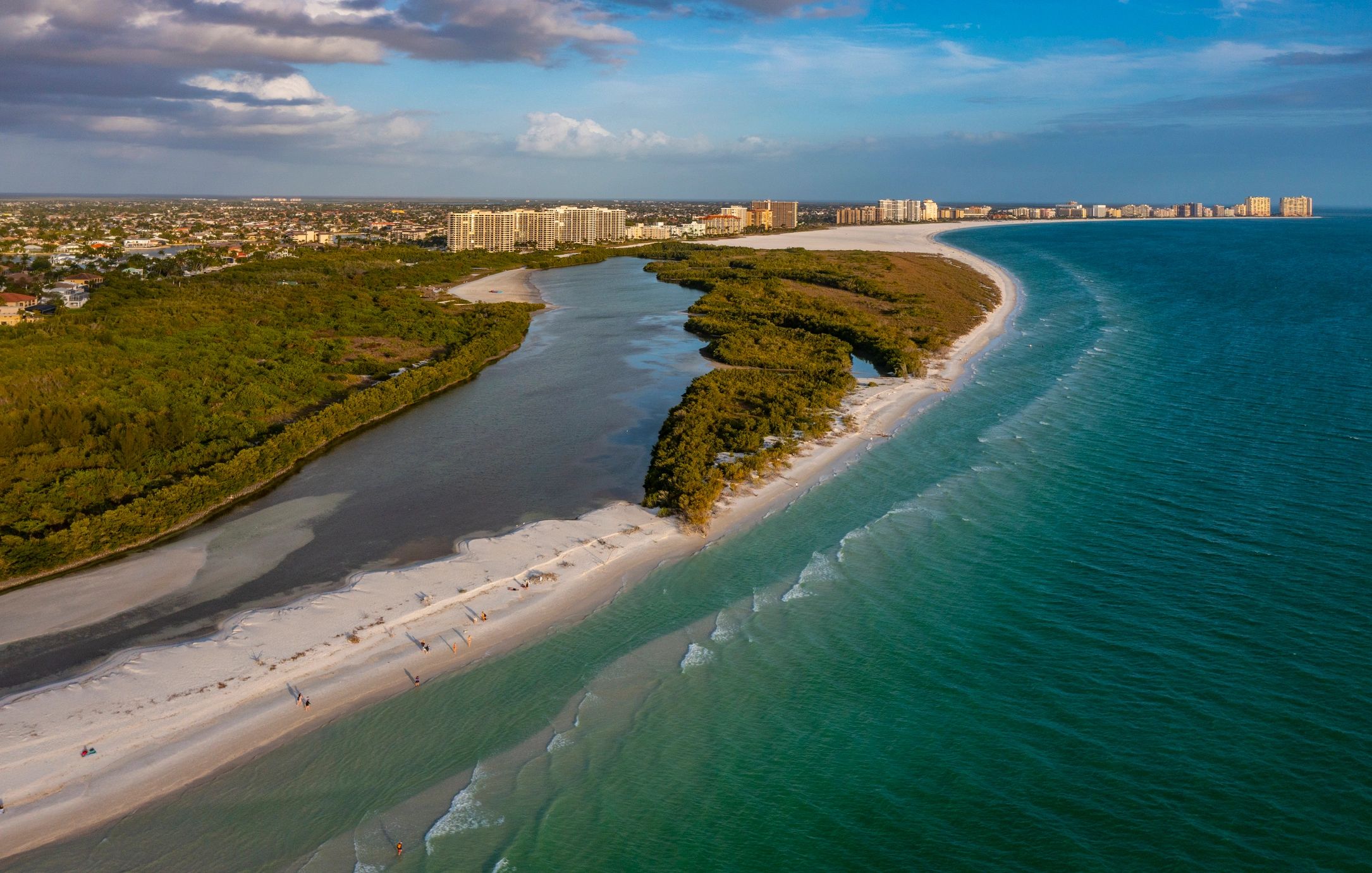 Aerial view of a beach with greenery and buildings in the distance.