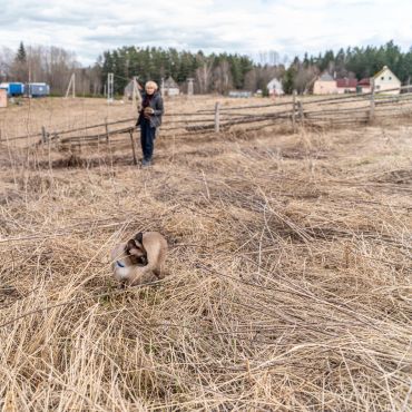 Cat curled up in dry grass with a person in the background.