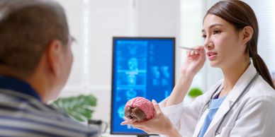 Doctor explaining brain anatomy to a patient.