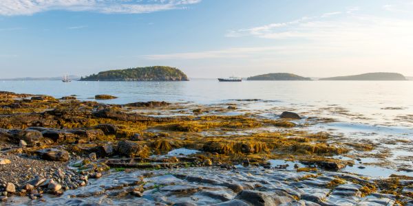 Rocky shoreline with seaweed and islands in the distance under a bright sky.