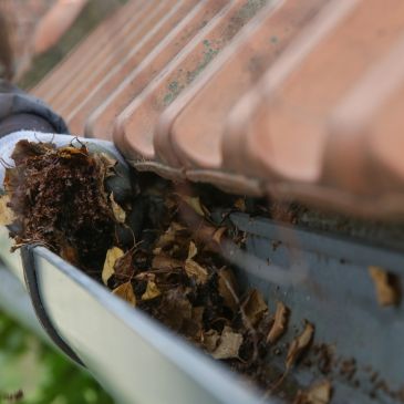 Close-up of a clogged gutter filled with dry leaves and debris.