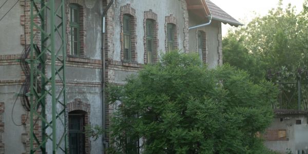 Old brick building partially covered by green trees in soft daylight.