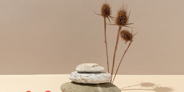 Stacked stones with dried thistle and red berries on beige surface.