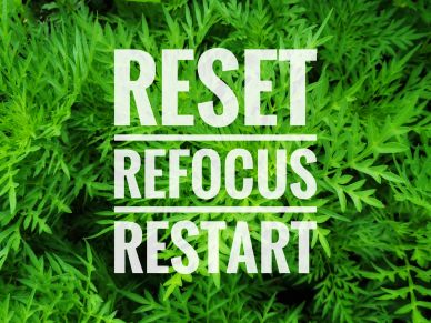 Motivational text on green plant background.