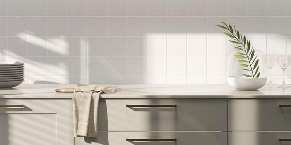 Minimalist kitchen countertop with a plant, cloth, and stacked plates in soft natural light.