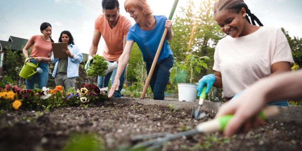 Group gardening together, planting flowers.