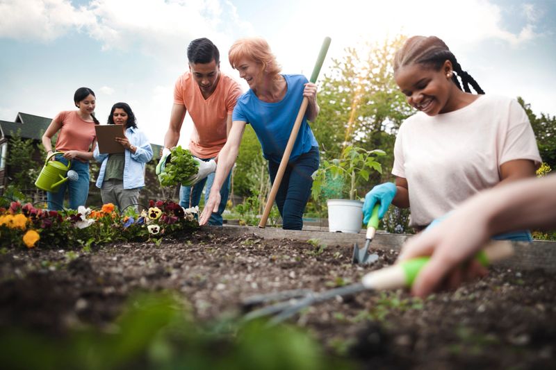 Multiracial group of young men and young women gather as volunteers to plant flowers in community garden with mature woman project manager giving advice and teamwork