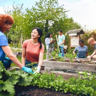 Rooted in Hope is a community outreach program of Hope Foundation ULJ that provides basic yard care 