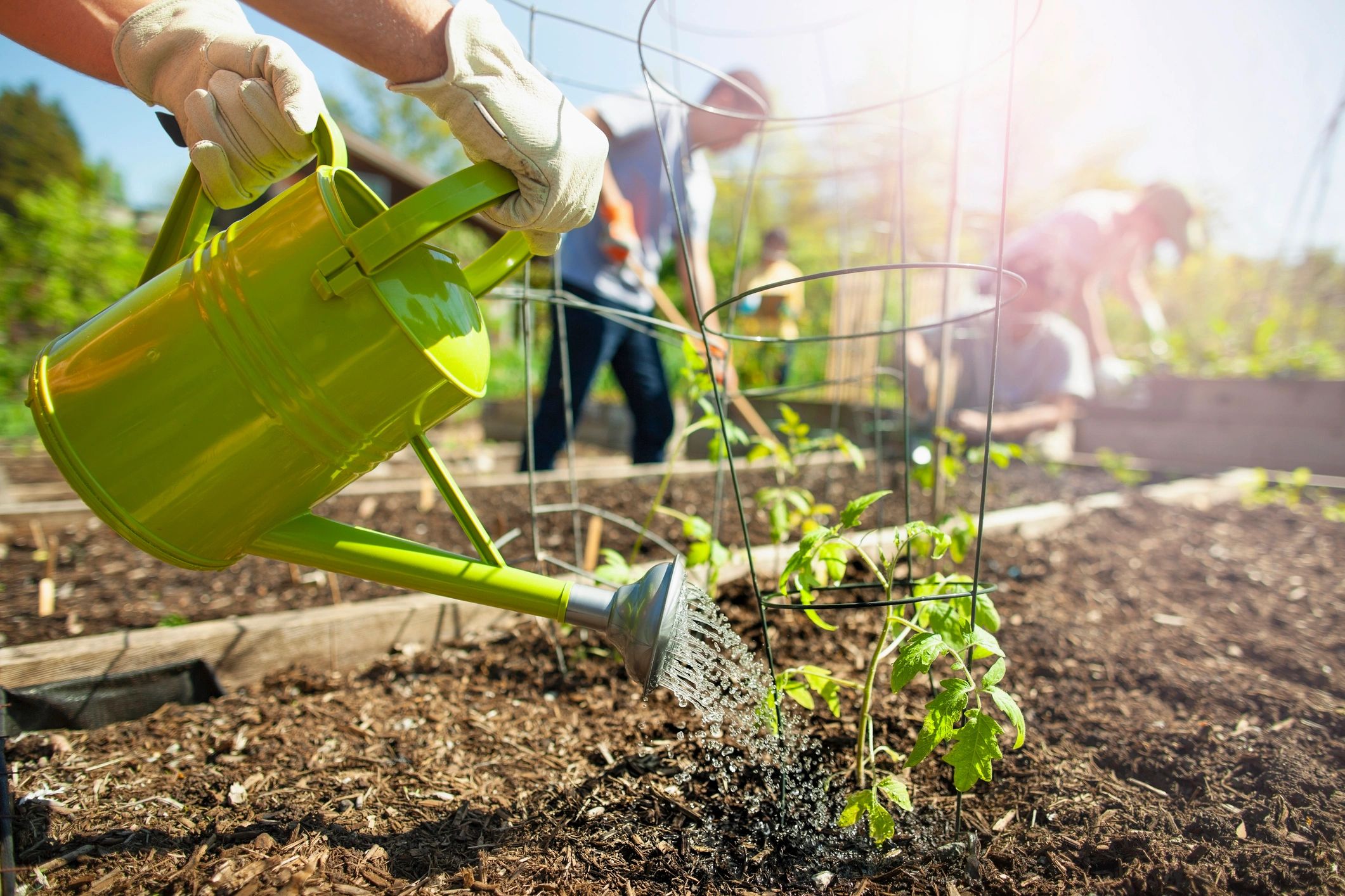 Best Time to Mulch in Northeast Ohio
