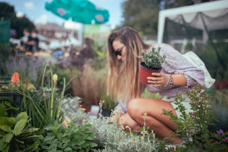 A woman buys planted flowers at the market