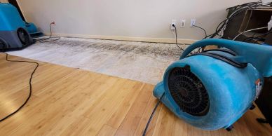 water damage and restoration