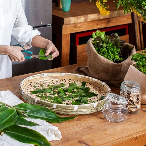 Nutrition and Herbal Medicine Preparation at The Remedy