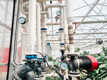Industrial pipes and gauges inside a greenhouse with plants.