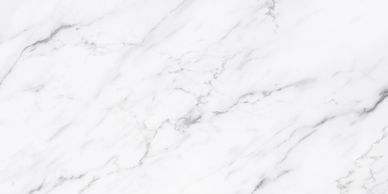 Smooth white marble surface with delicate gray veins.