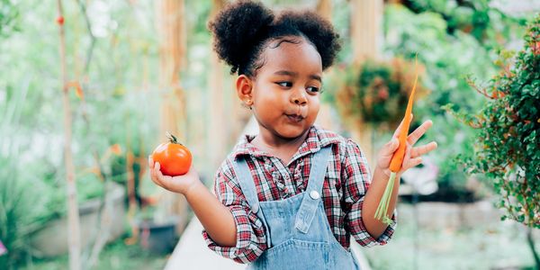 A little girl holding a tomato and a carrot in a garden.