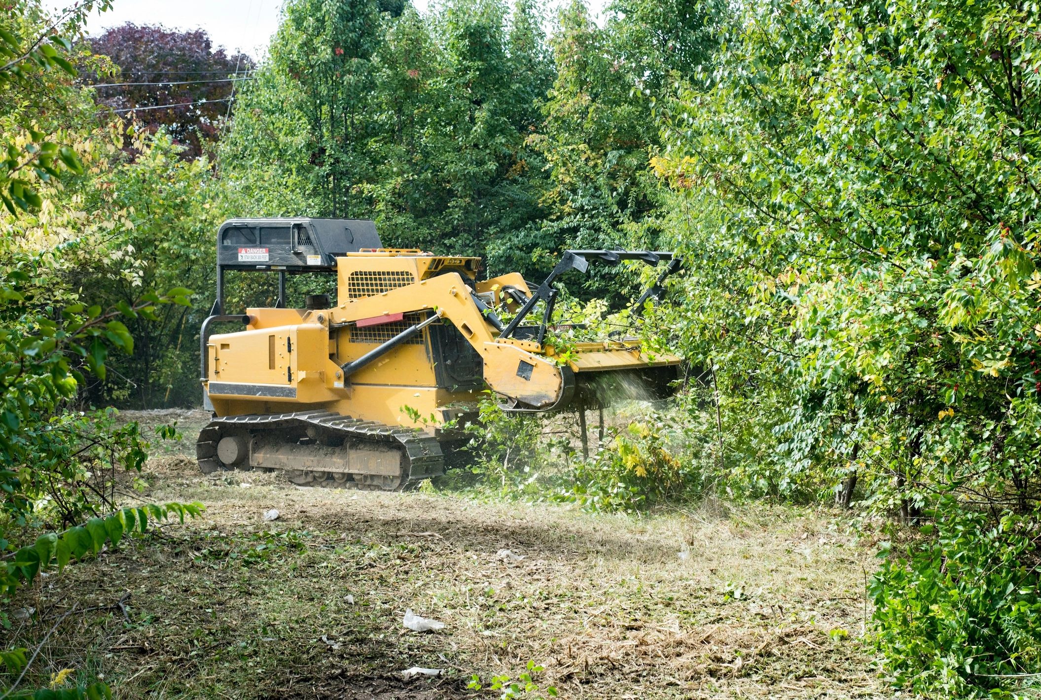 Yellow excavator clearing dense forest.