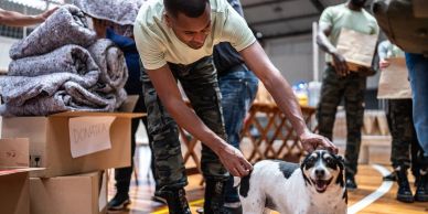 Man in military uniform petting a dog indoors.