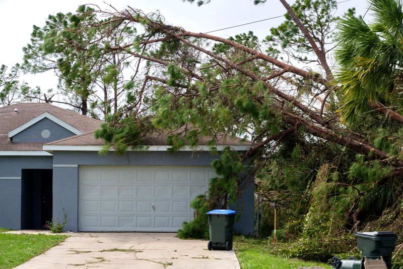 Fallen down big tree on a house after hurricane Ian in Florida. Consequences of natural disaster.