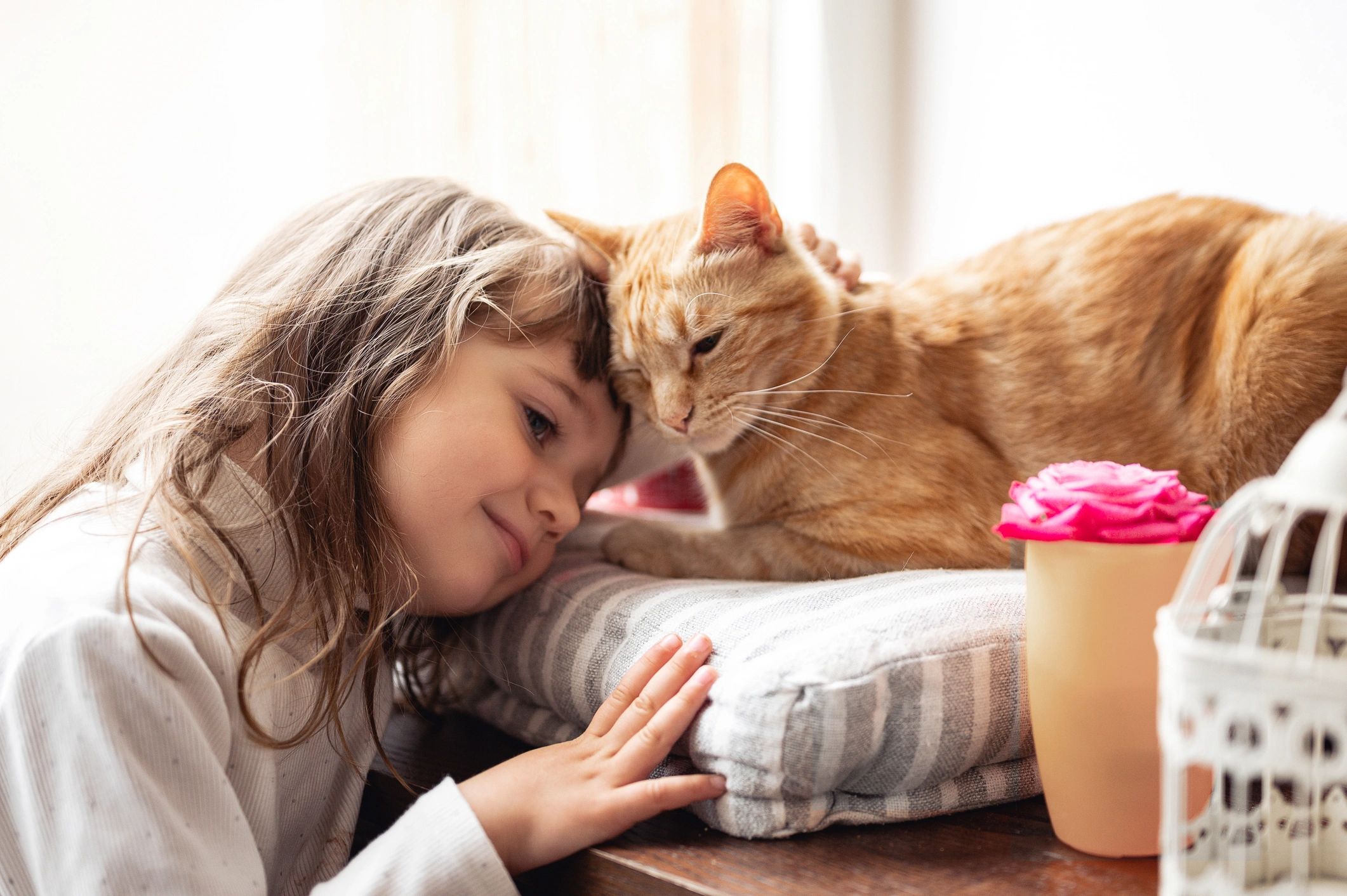 A girl cuddling with an orange cat.