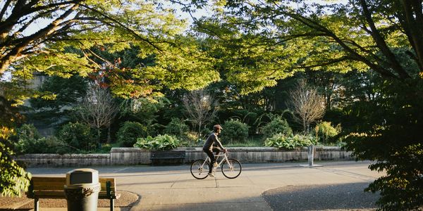 image of a person on a bike ride through a park going to work 