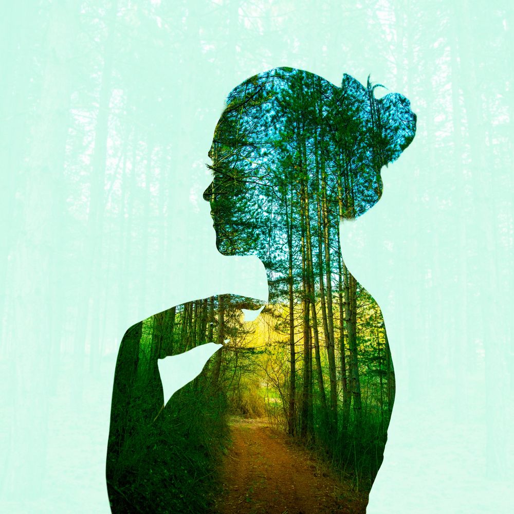 Silhouette of a woman filled with a forest path, blending nature and human form.