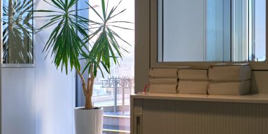 Indoor potted plant near a window with stacked books on a shelf.