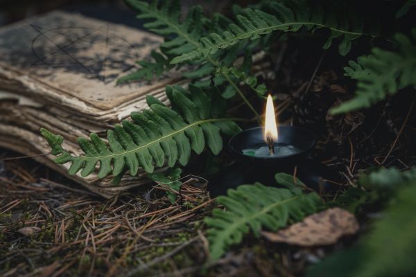 A lit candle among green ferns and old papers.