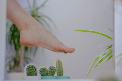 A foot hovers above small cacti.