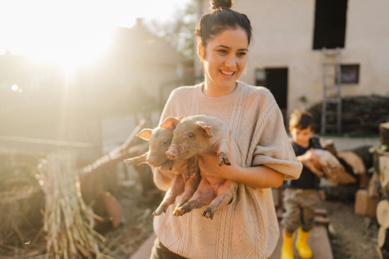 Photo of a young woman cute piglets as she is taking care of them.