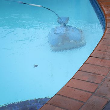 robotic pool cleaner maytronics dolphin brand in pool