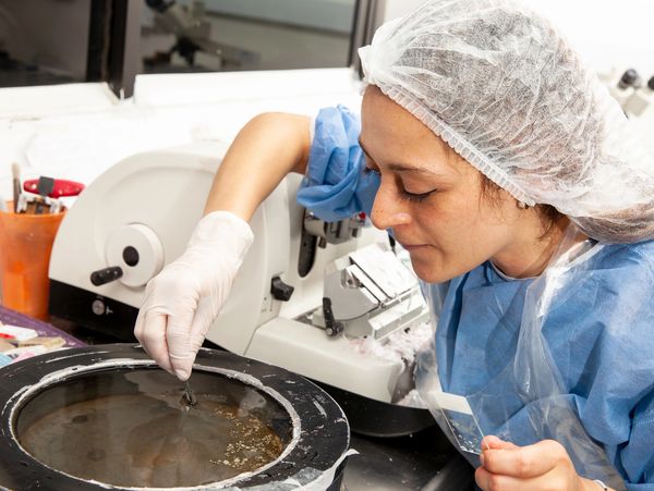 Scientist in protective gear working with lab equipment.