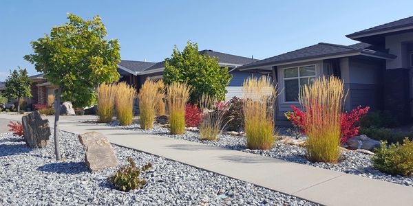 Modern house with drought-resistant landscaping and ornamental grasses.