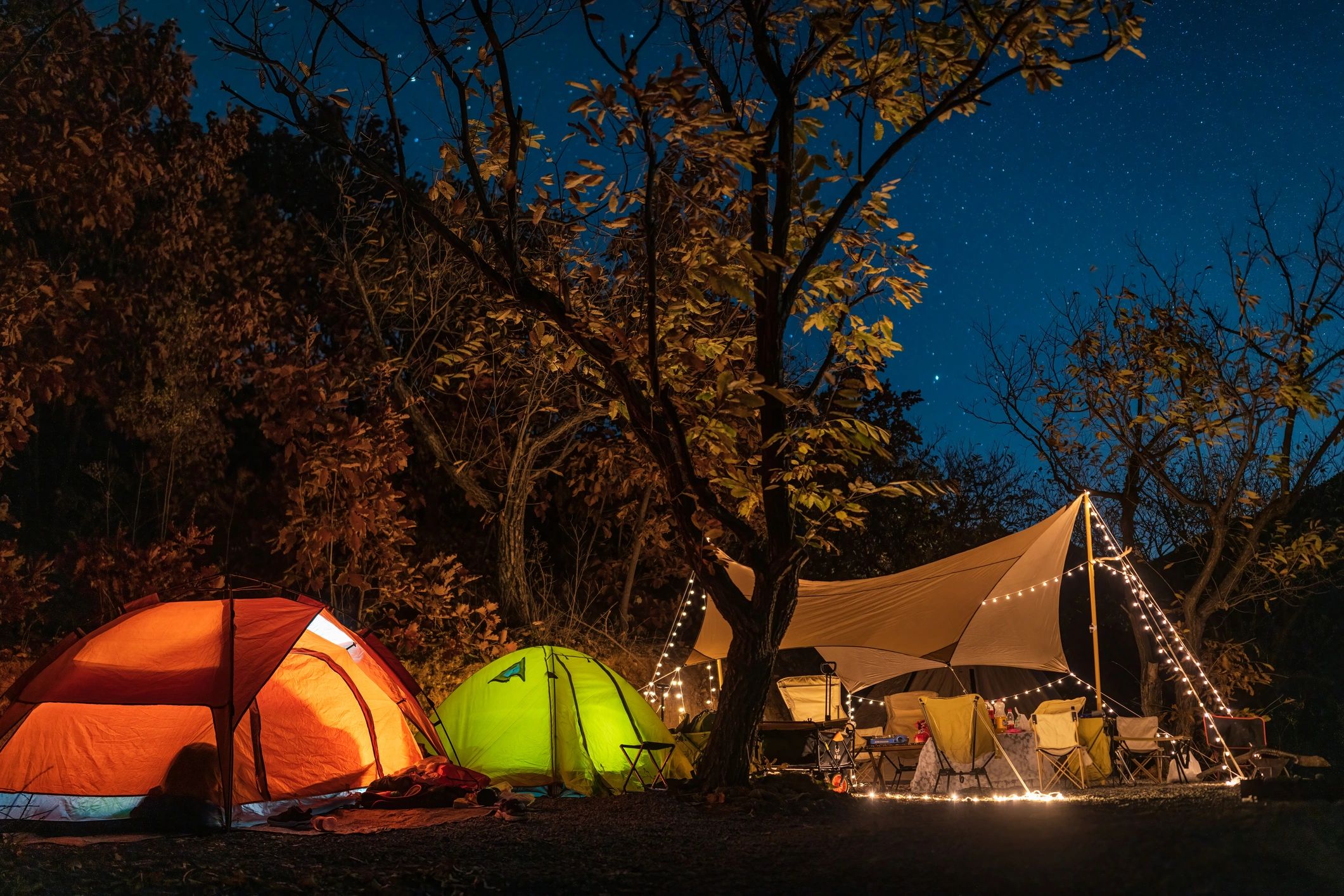 RV Park in Wilcox County, Alabama.